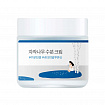 Round Lab Увлажняющий крем для лица с берёзовым соком  Birch Juice Moisturizing Cream, 80мл.