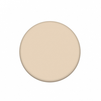 THE SAEM  Консилер Cover Perfection Tip Concealer  01. Clear Beige 6,5гр.